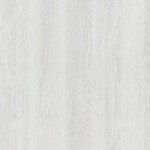Javor šedý - PREMIUM  + 13,68€ 