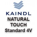 Standard 4V