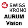 Vision