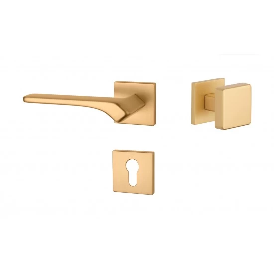 AS - BERGENIA - HR 7S ZLM - zlatá matná (KG)