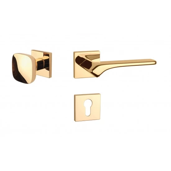 AS - BERGENIA - HR 7S ZLL - zlatá lesklá (LG)