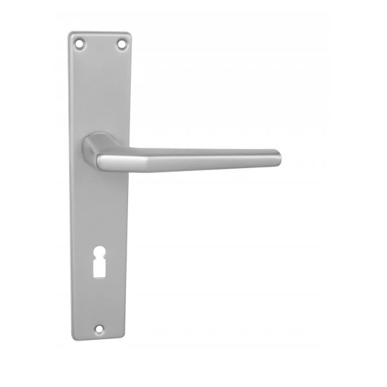 BA - LUCIA - I STM - strieborná matná (F1)