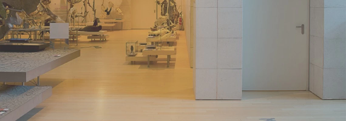 Prevádzkuješ firmu, sklad alebo halu? Tieto oceľové protipožiarne dvere ti raz môžu zachrániť všetko