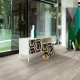 Vinyl Parador Basic 30 Dub pastelovo šedý štruktúra dreva široká lamela 1L 1513441 1207x216x9,4 mm