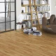 VP Parador Basic 11-5 Natur Dub matný lak 3-lamela shipsdeck 1595131 2200x185x11,5 mm