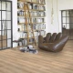 Vinyl Parador Basic 30 Dub Royal svetlo bielený štruktúra dreva 1604831 1207x216x9,4 mm