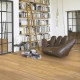 Vinyl Parador Basic 2.0 Dub prírodný kartáčovaná štruktúra široká lamela, 1730779, 1219x229x2 mm