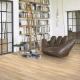 Parador Vinyl Basic 30 Dub Memory pieskový kartáčovaná štruktúra široká lamela, 1730621, 1207x216x9,4 mm