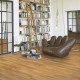 Vinyl Parador Basic 2.0 Dub Sierra prírodný kartáčovaná štruktúra široká lamela, 1730791, 1219x229x2 mm