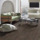 H2O Floor Organic Classic Dub Espresso Carpenter K479 CM 8 mm AC5/33 4V 1-lamela 1clic2go pure+