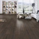 H2O Floor Organic Classic Dub Espresso Carpenter K479 CM 8 mm AC5/33 4V 1-lamela 1clic2go pure+
