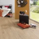 Atlantic 8 Dub Sundance K326 RO 8 mm AC4/32 4V 1clic2go pure+