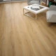 Atlantic 8 Dub Beige Parioli K788 MW 8 mm AC4/32 4V 1clic2go pure+