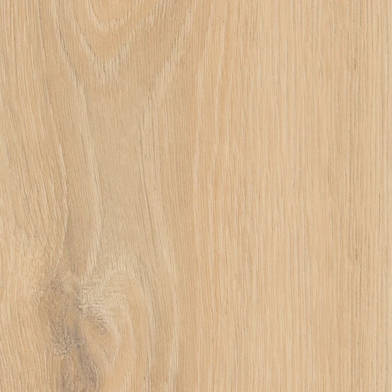 SPC Herringbone Silent Dub Natural Montanara K804 MR 6 mm AC5/34 4V rybia kosť Fold Down