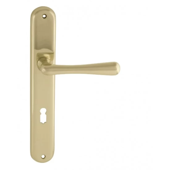 NI - ELEGANT ZLL - zlatá lesklá (OLV)