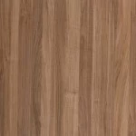 Orech americký - 3D 