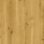 Horský dub - topDECOR 