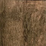 Dub antický - 3D 