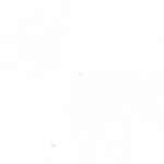 Biela - FINISH  + 21,14€ 