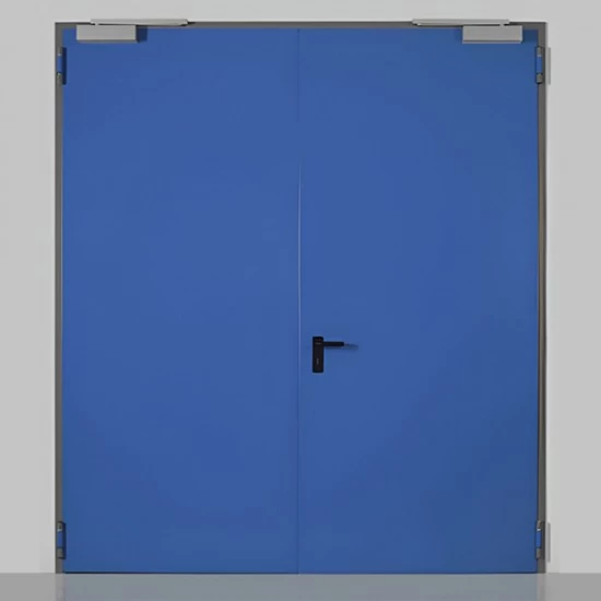 Oceľové Protipožiarne Dvere NINZ - PROGET SK Norma - EW/EI 60 - D1 + Zárubňa (Murivo/Sadrokartón)