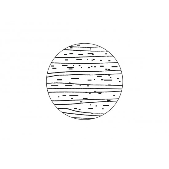 TD - DREVENÝ PRAH S TESNENÍM - BUK JELŠA BUK 03 - Morenie jelša lakovaný TD - DREVENÝ PRAH S TESNENÍM - BUK JELŠA BUK 03 - Morenie jelša lakovaný